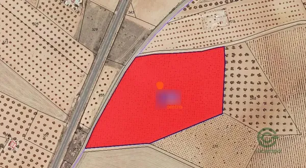 Spot image
