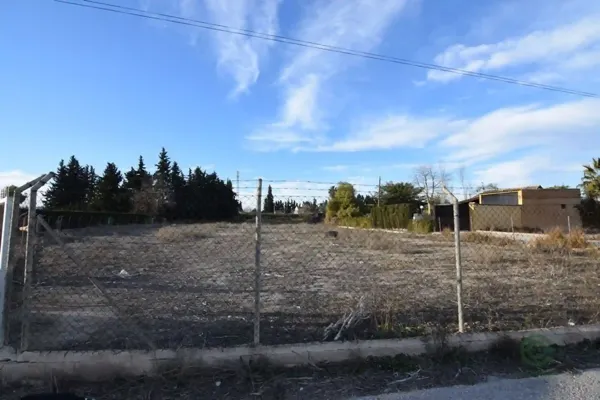 Spot image