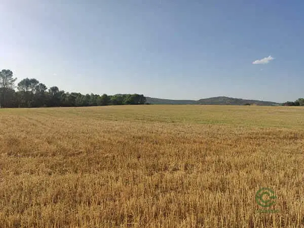 Finca rústica de 2,37 ha en venta en Guadalajara
