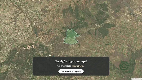 Spot image