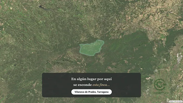Spot image