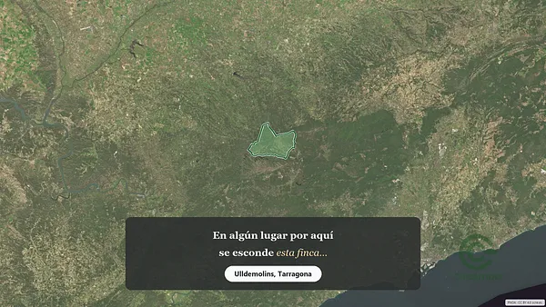 Spot image