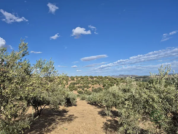 Finca agrícola de 0,669 ha en venta en Madrid, Madrid