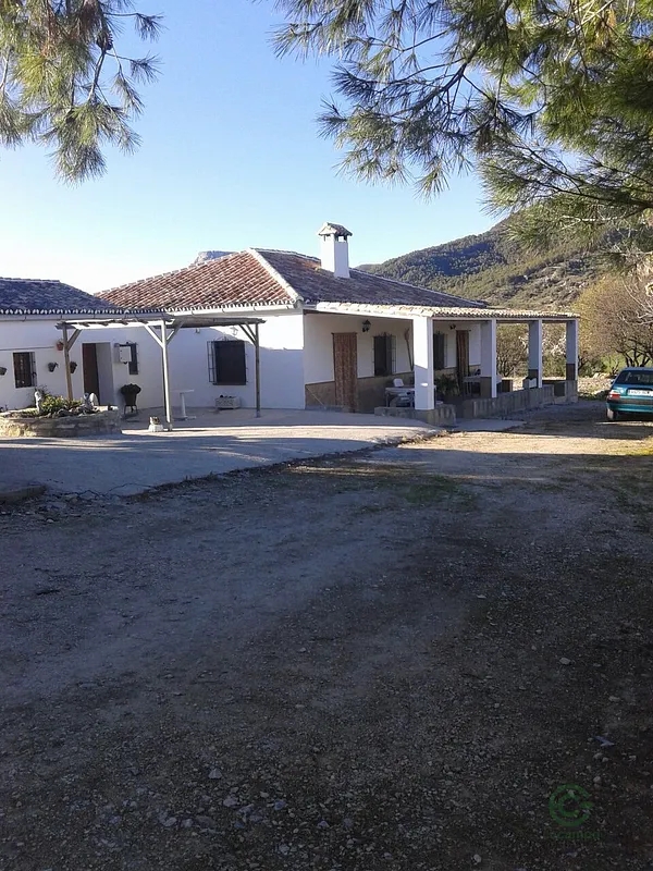 Spot image
