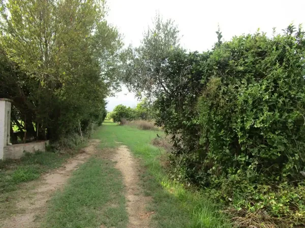 Finca rústica de 3,08 ha en venta en Roquetes, Tarragona