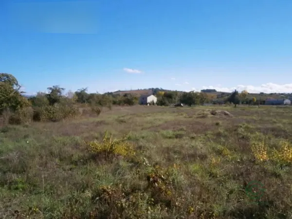 Spot image