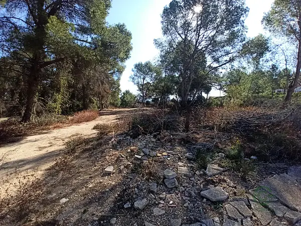 Spot image