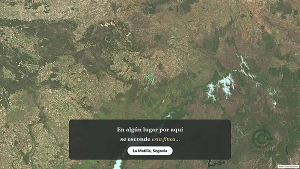 Spot image