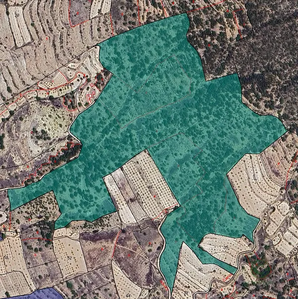 Spot image