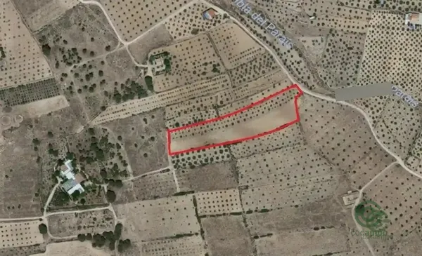 Finca agrícola de 1,0084 ha en venta en Caudete, Albacete
