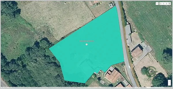 Spot image