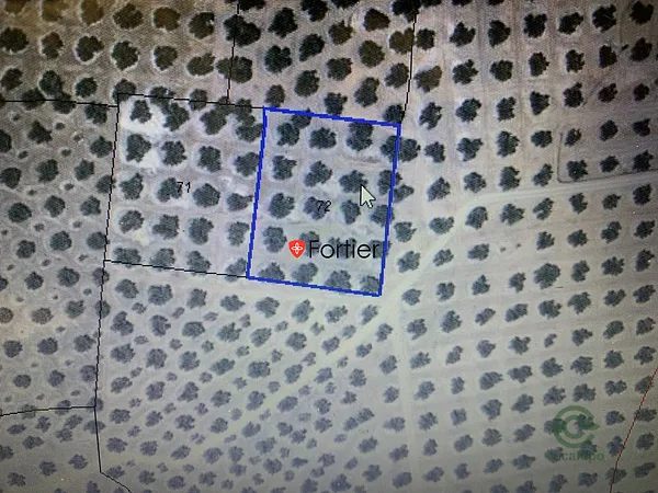 Spot image