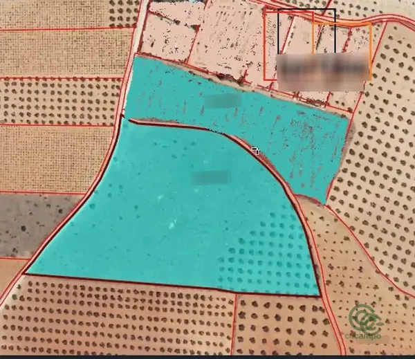 Spot image