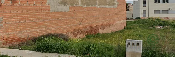 Spot image
