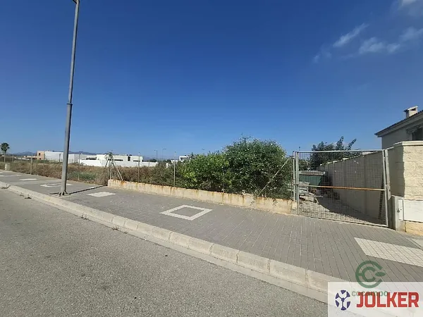 Spot image