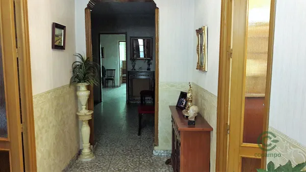 Spot image