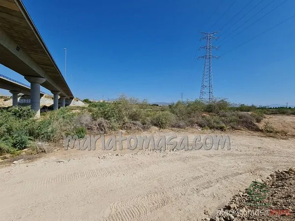 Spot image