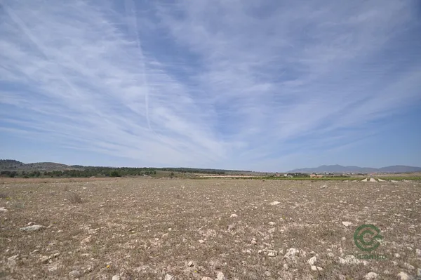 Spot image