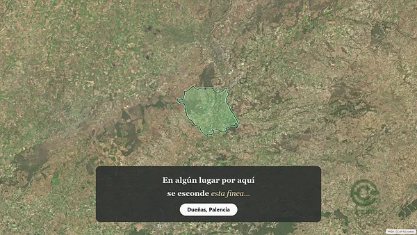 Spot image