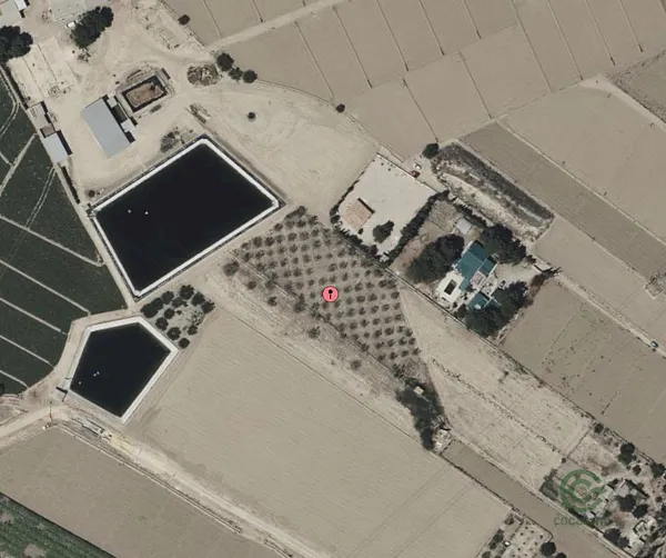 Spot image