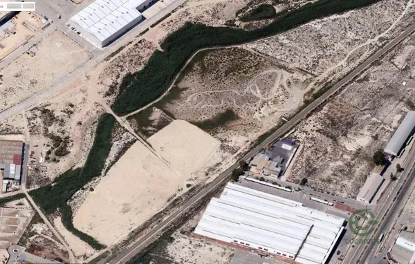 Spot image