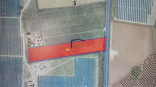 Spot image