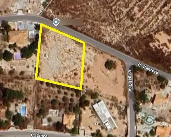 Spot image