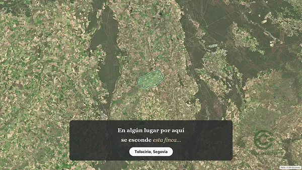 Spot image