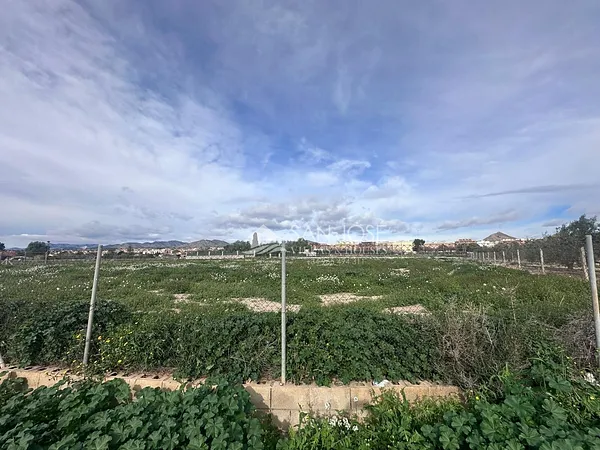 Finca agrícola de 0,6085 ha en venta en Novelda, Alicante