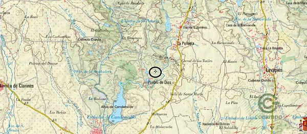 Spot image