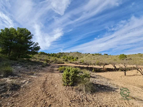 Finca rústica de 0,5011 ha en venta en Yecla, Murcia