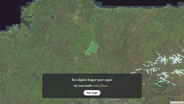 Spot image