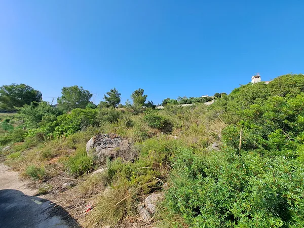 Spot image