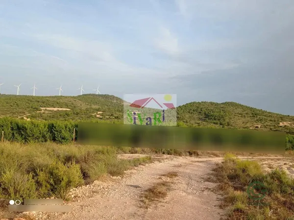 Spot image