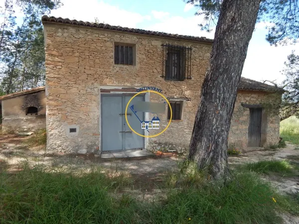 Spot image
