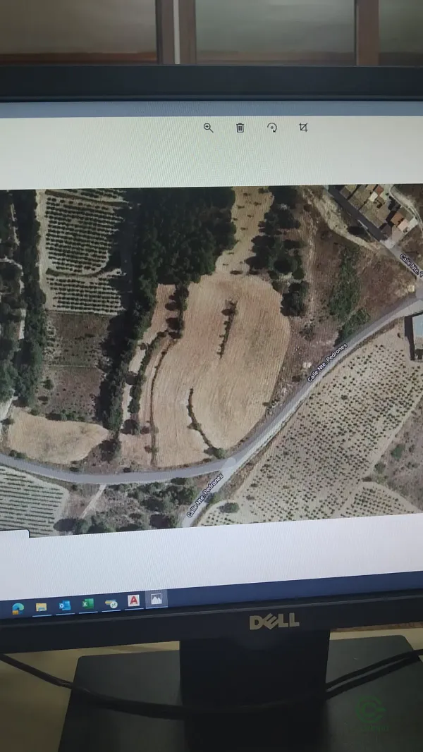 Spot image