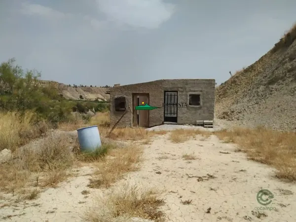 Spot image