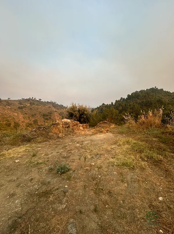 Fazenda rustica de 4 ha para venda em Vila real