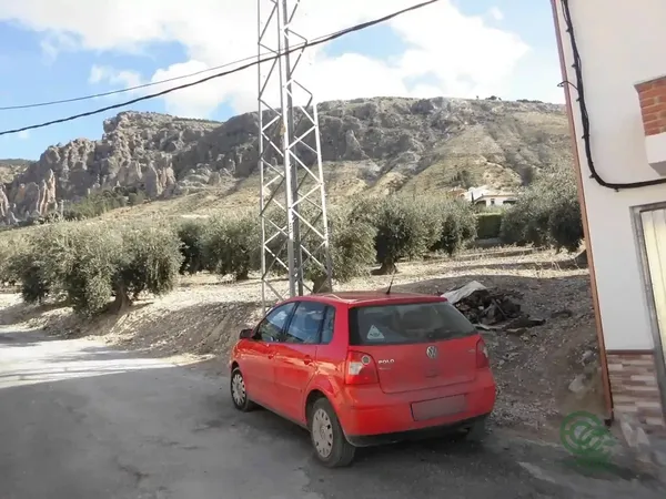 Spot image