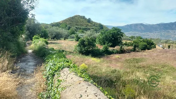 Spot image