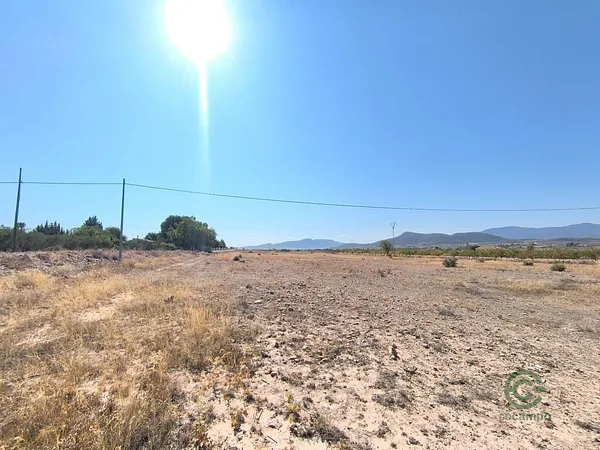 Spot image
