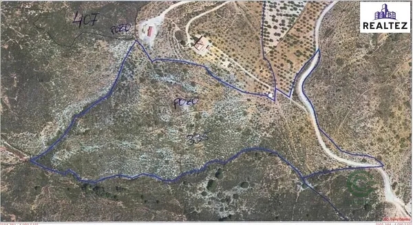 Spot image