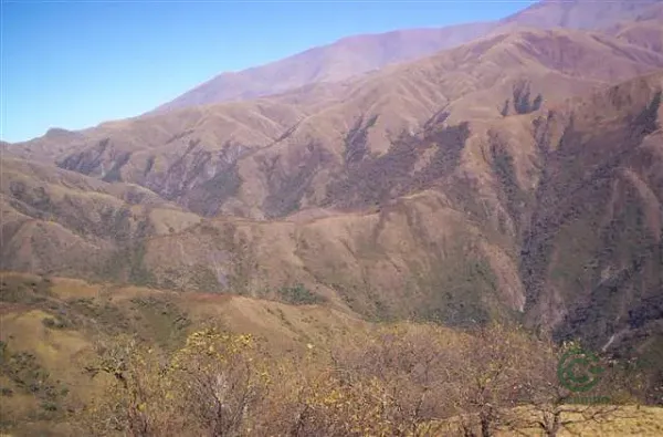 Finca rústica de 7500 ha en venta en Salta