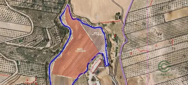 Spot image