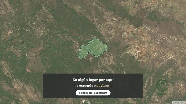 Spot image