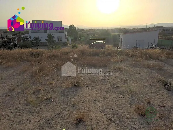 Spot image