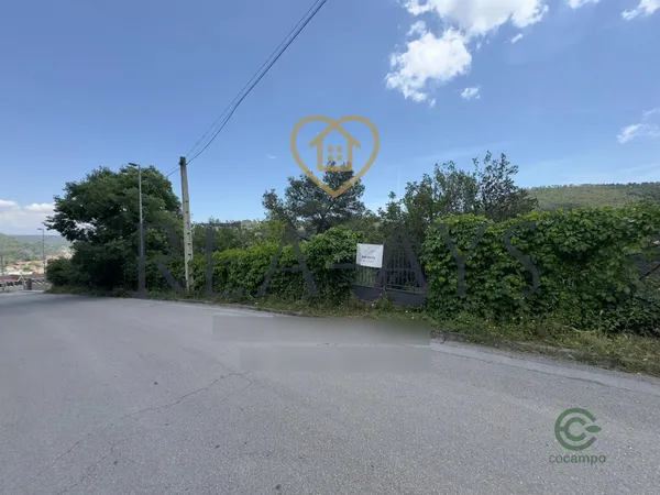 Spot image