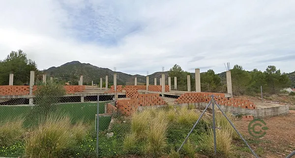 Spot image