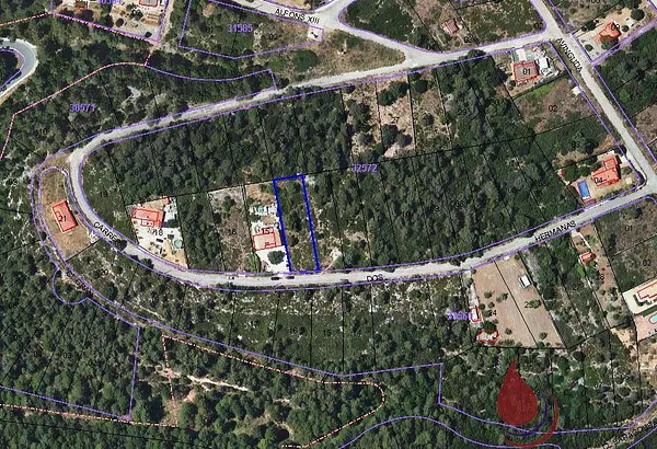 Spot image