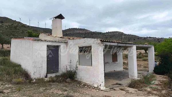 Spot image
